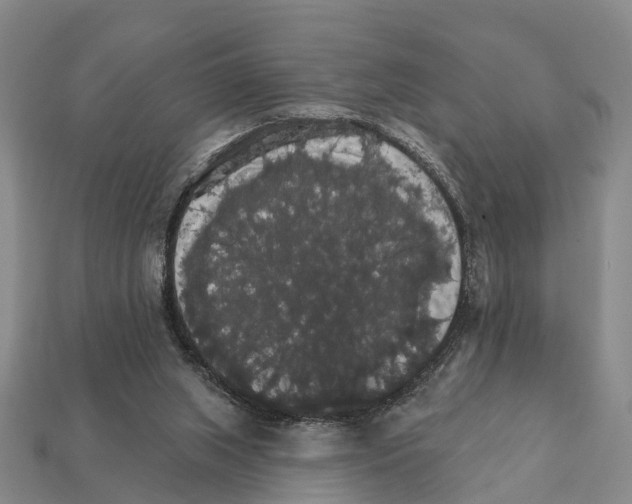 X0000111910063200909071205