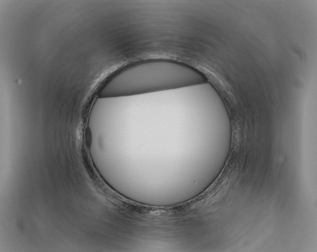 X0000111910064200909071205