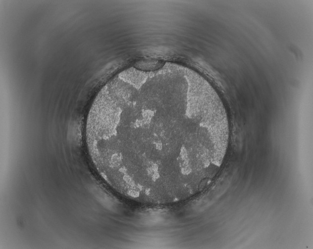 X0000111910065200909071205