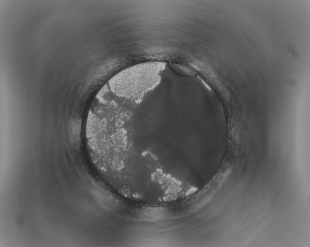 X0000111910066200909071205