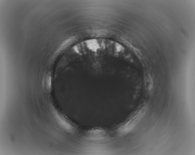 X0000111910067200909071205