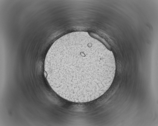 X0000111910071200909071205