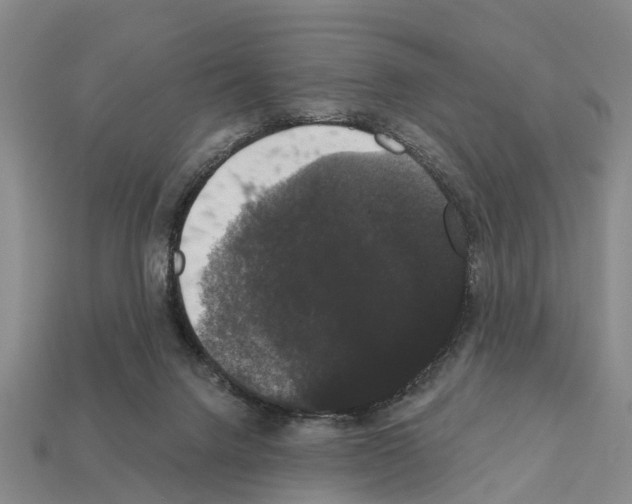 X0000111910072200909071205