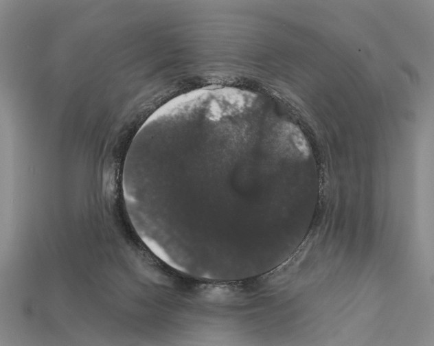 X0000111910074200909071205