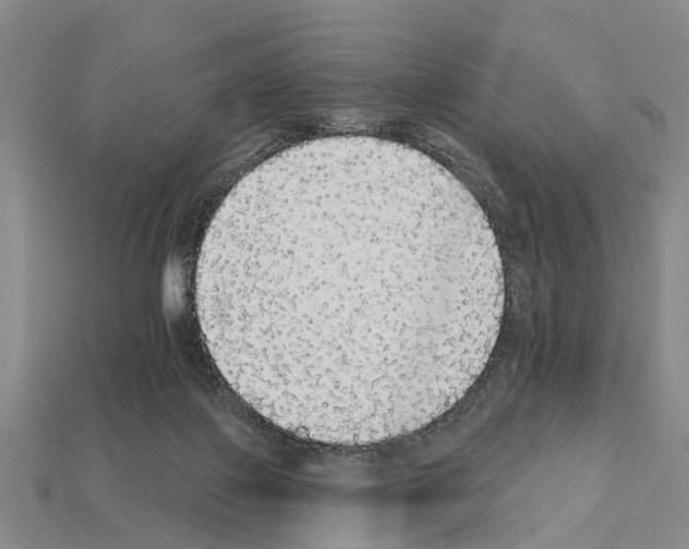 X0000111910075200909071205