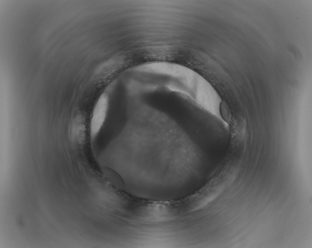 X0000111910080200909071205