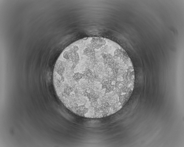 X0000111910081200909071205