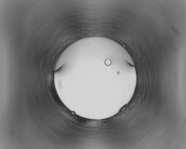 X0000111910084200909071205