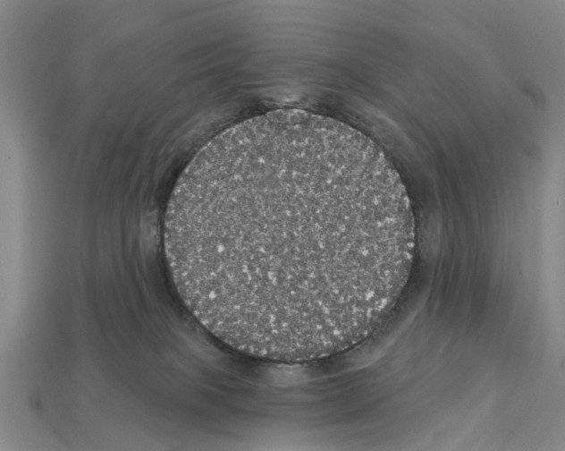 X0000111910085200909071205