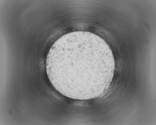 X0000111910086200909071205