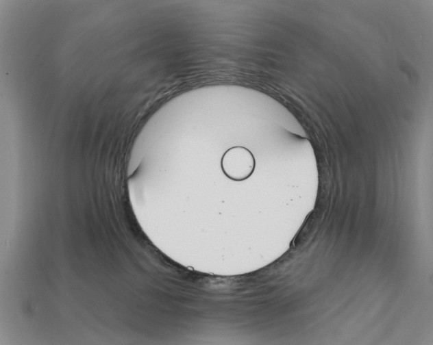X0000111910088200909071205