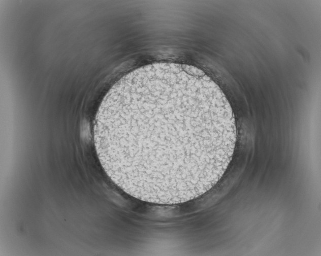 X0000111910089200909071205