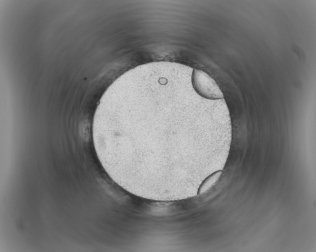 X0000111910090200909071205