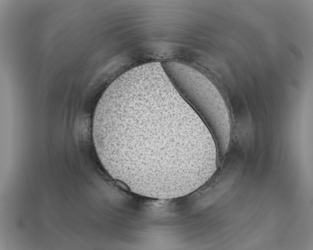 X0000111910092200909071205