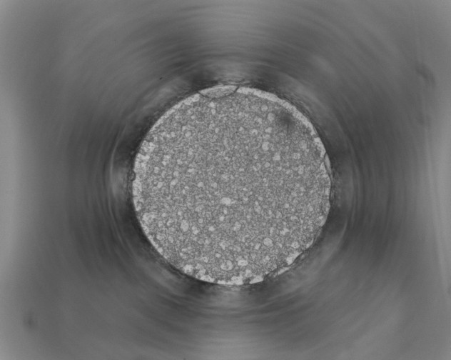 X0000111910093200909071205