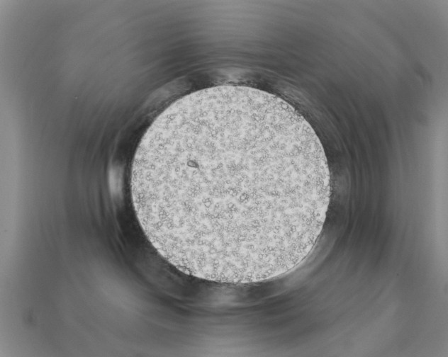 X0000111910094200909071205