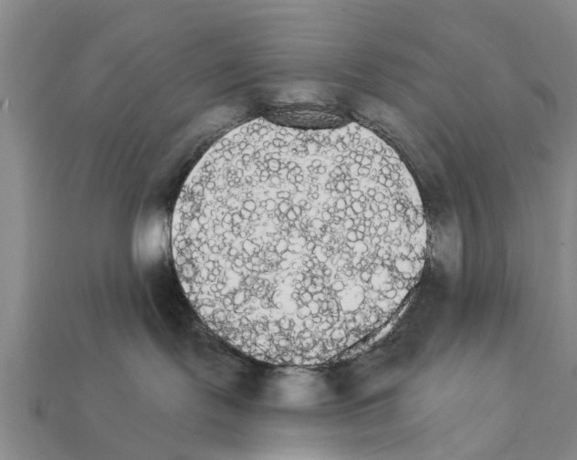 X0000111910095200909071205