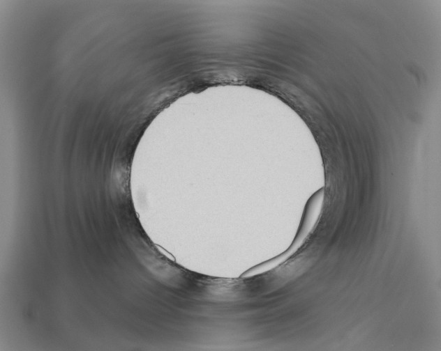 X0000111910096200909071205