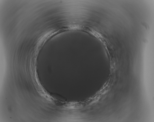 X0000111910097200909071205