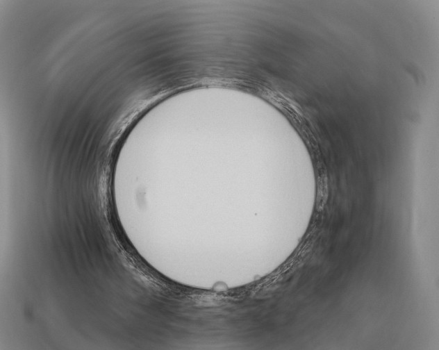 X0000111910098200909071205