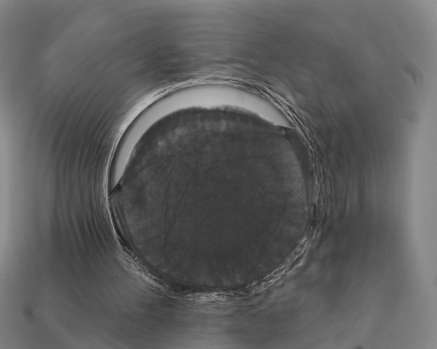 X0000111910100200909071205