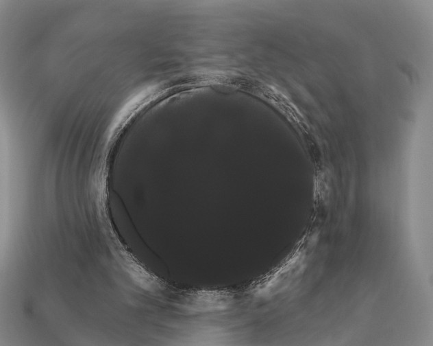 X0000111910101200909071205