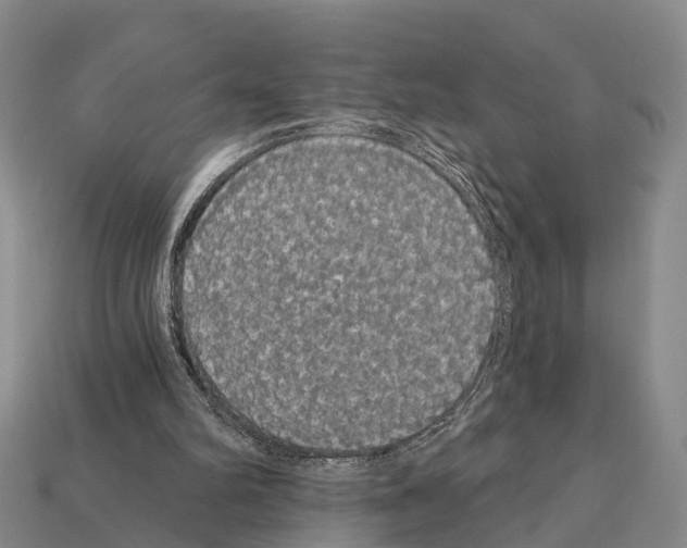 X0000111910102200909071205