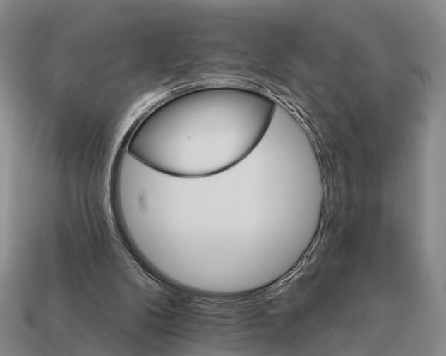 X0000111910104200909071205