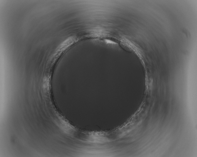X0000111910105200909071205