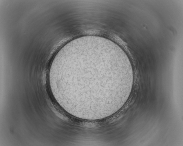 X0000111910106200909071205