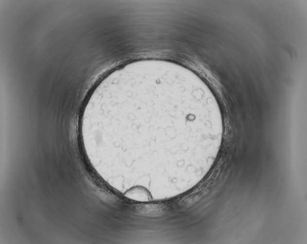 X0000111910107200909071205