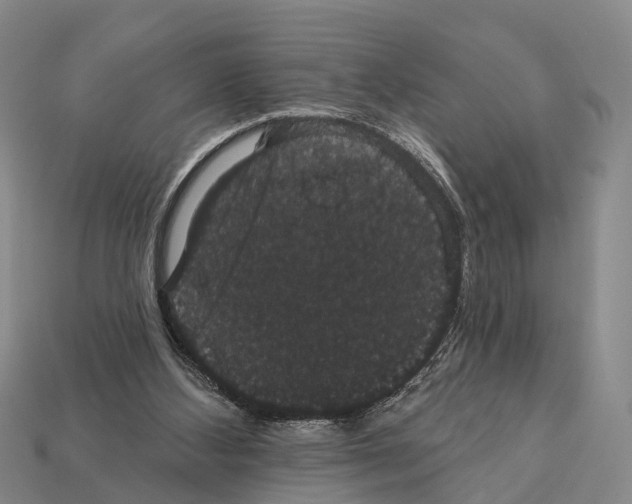 X0000111910108200909071205