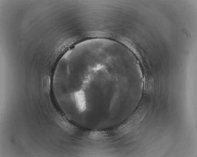 X0000111910109200909071205