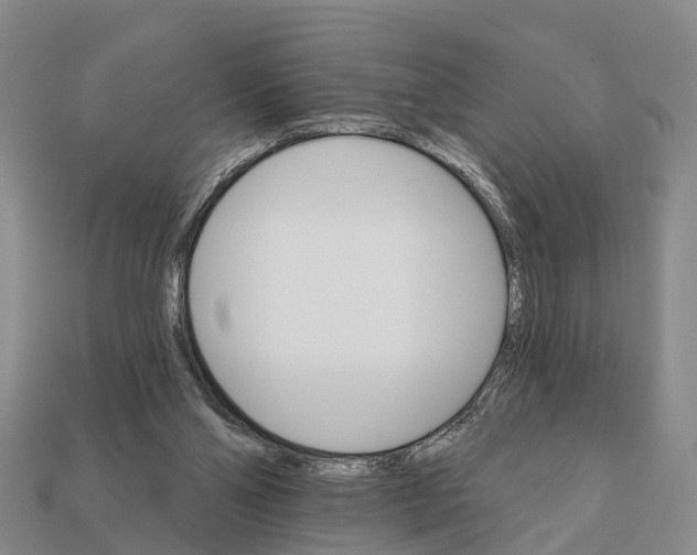 X0000111910110200909071205