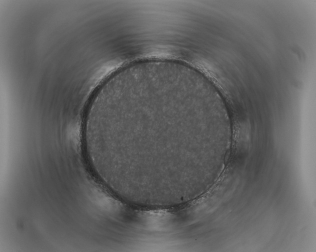 X0000111910112200909071205