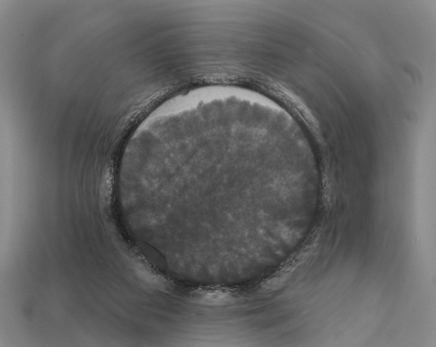 X0000111910113200909071205