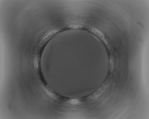 X0000111910114200909071205