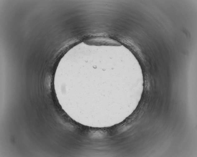 X0000111910115200909071205