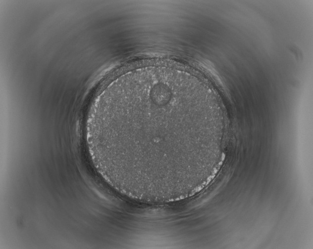X0000111910116200909071205