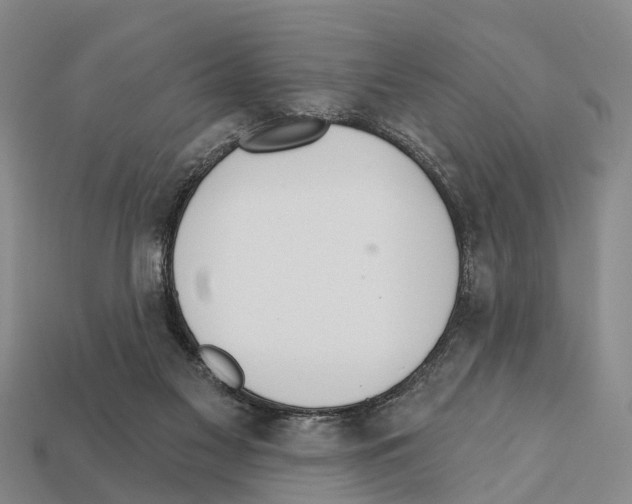 X0000111910117200909071205