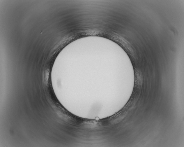 X0000111910118200909071205