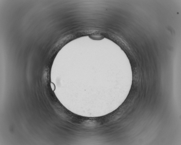 X0000111910119200909071205