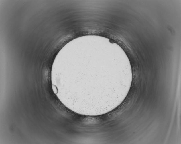 X0000111910123200909071205