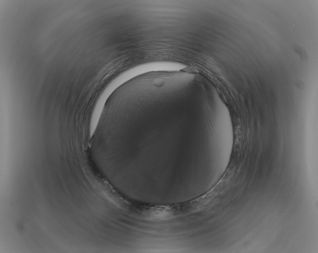 X0000111910124200909071205