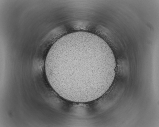 X0000111910125200909071205