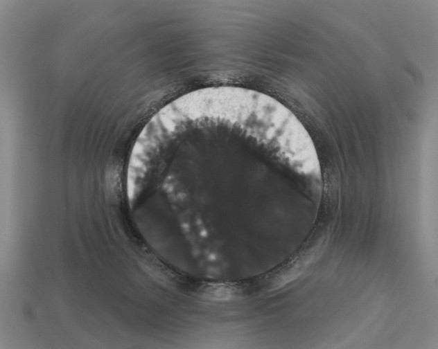 X0000111910127200909071204