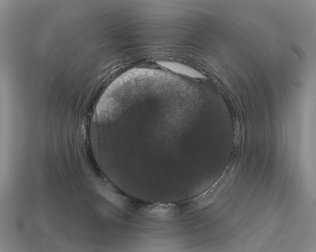 X0000111910128200909071204