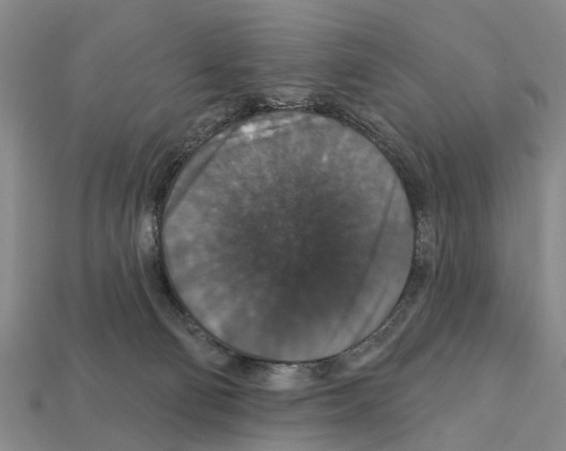 X0000111910130200909071204