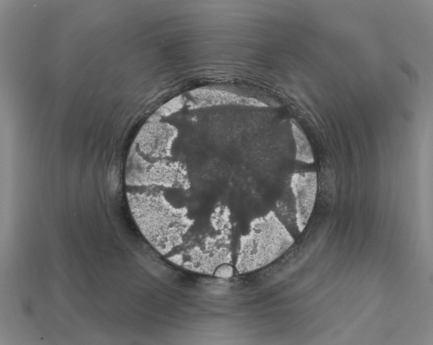 X0000111910131200909071204