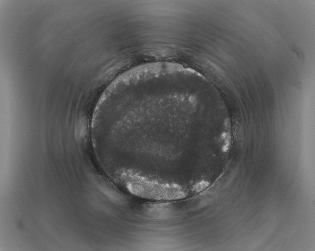 X0000111910132200909071204